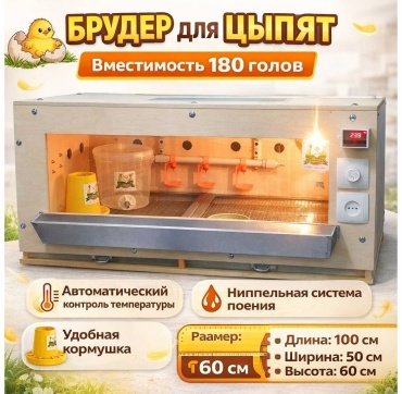 18052000, вместимость: 180 цыплят