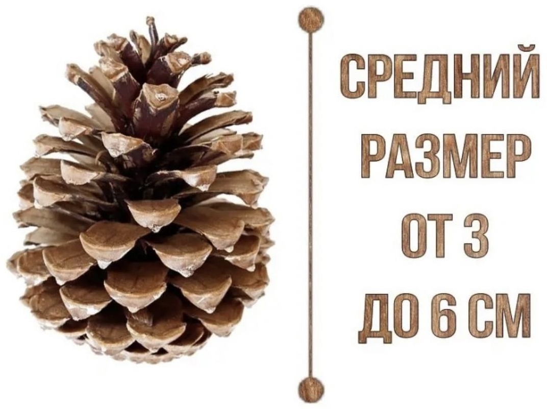 Шишки 6 см