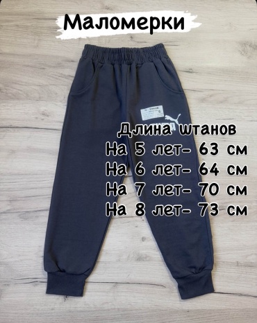Спортивные брюки темно-серый