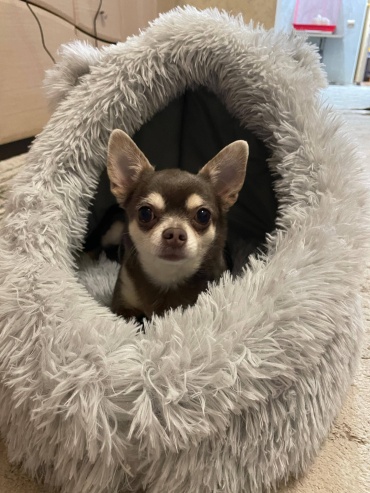 Домик Happy Pet 1517 40x36 см