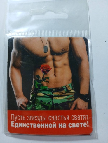 ХОРОШО магнит-сувенир Магнит-сувенир 7х6 см 1 шт