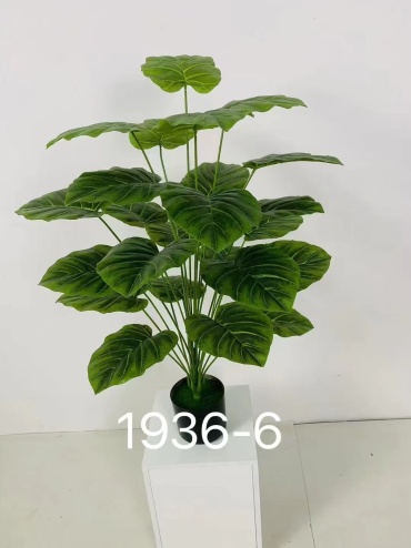 Монстера 90 см, 30349148_769486701