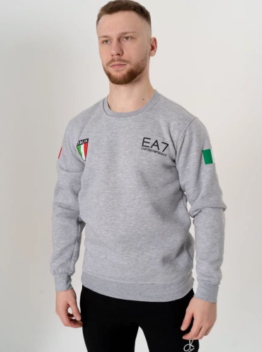 Свитшот BRAND ЕА7 серебристый