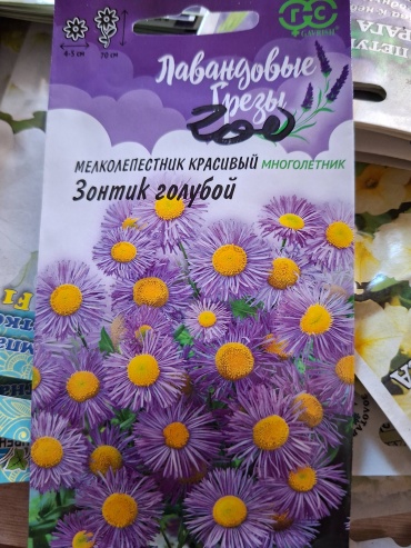 Гавриш астра Мелколепестник красивый Зонтик голубой