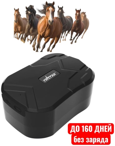 BOSTAPEX TK905C GPS/GSM