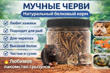 Мучные черви 50 г