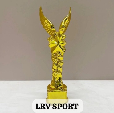 Кубок LRV SPORT КРЫЛЬЯ