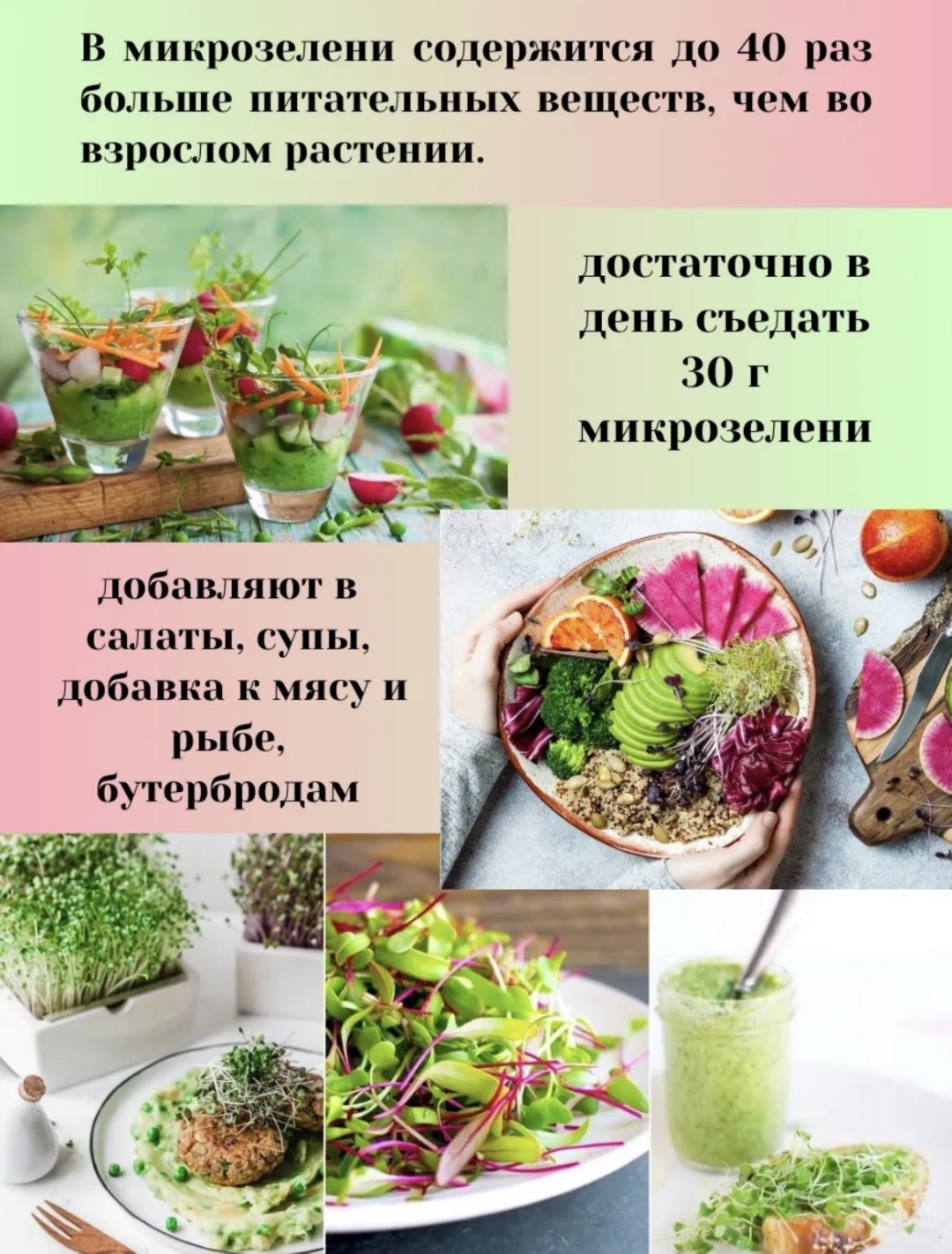 Набор для выращивания Сеем Вместе Набор микрозелени «ВитамиНка #3»