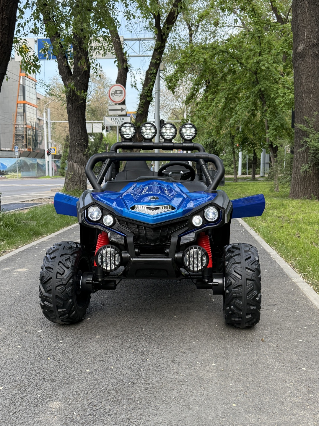 AmiVi 918107671у синий