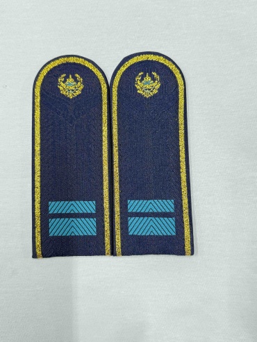 ПогоныМВД