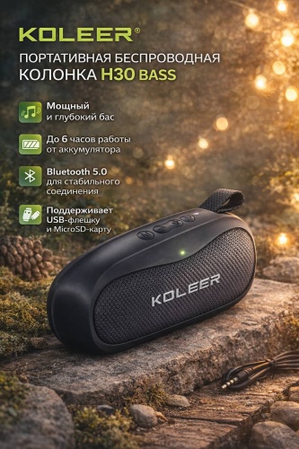 Портативная колонка Koleer Н30 черный