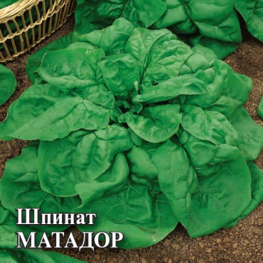Гавриш шпинат Матадор