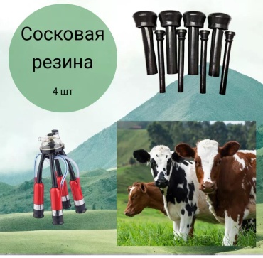 Сосковая резина 248381192, 4 шт