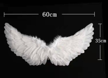 Крылья ангела 60×30-35