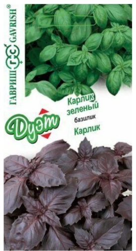 Гавриш базилик ДУЭТ Карлик + Карлик зеленый