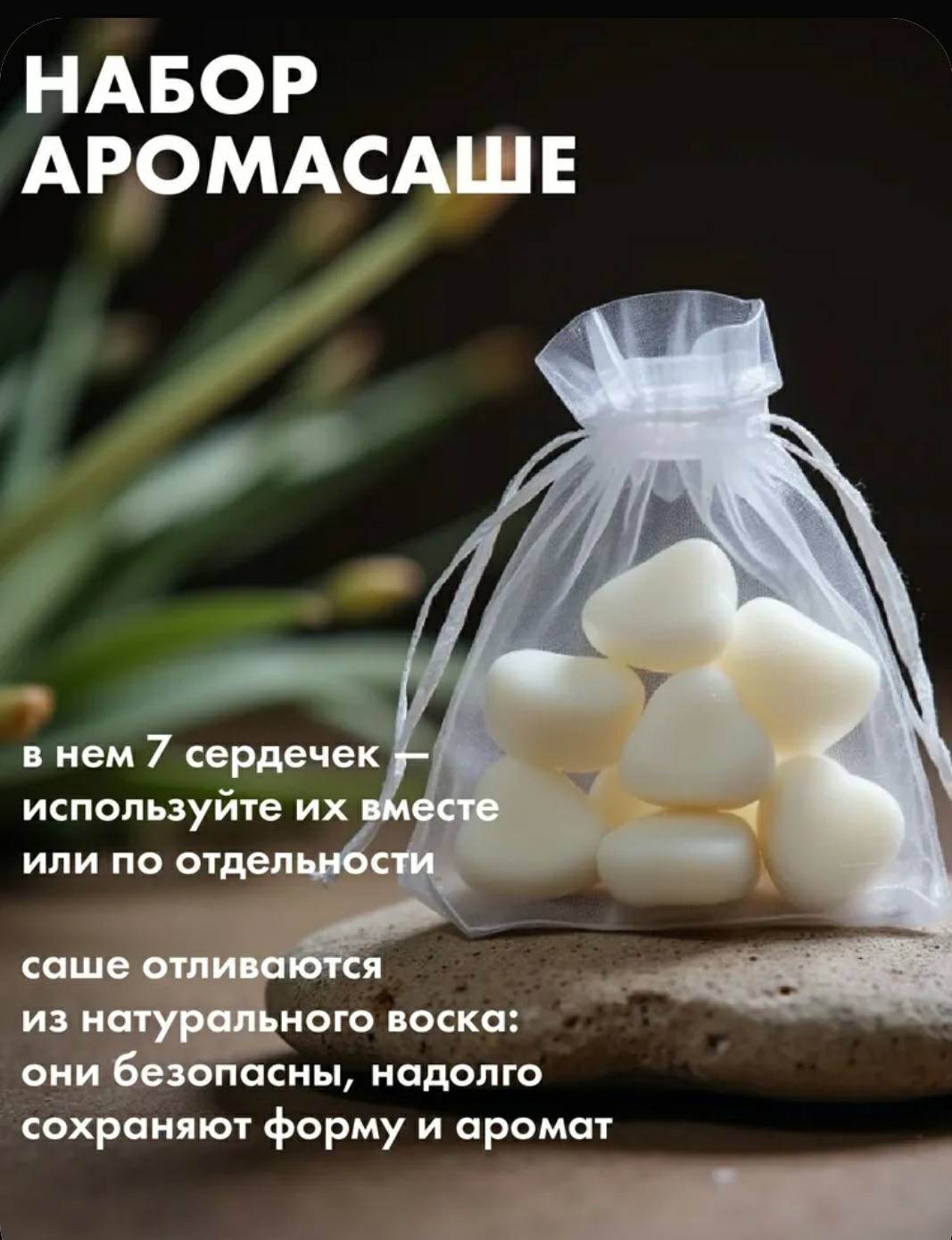 Саше Лемонграсс