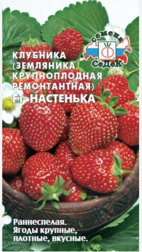 СеДеК клубника Настенька
