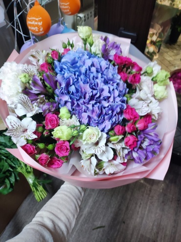 Гортензия Blossom
