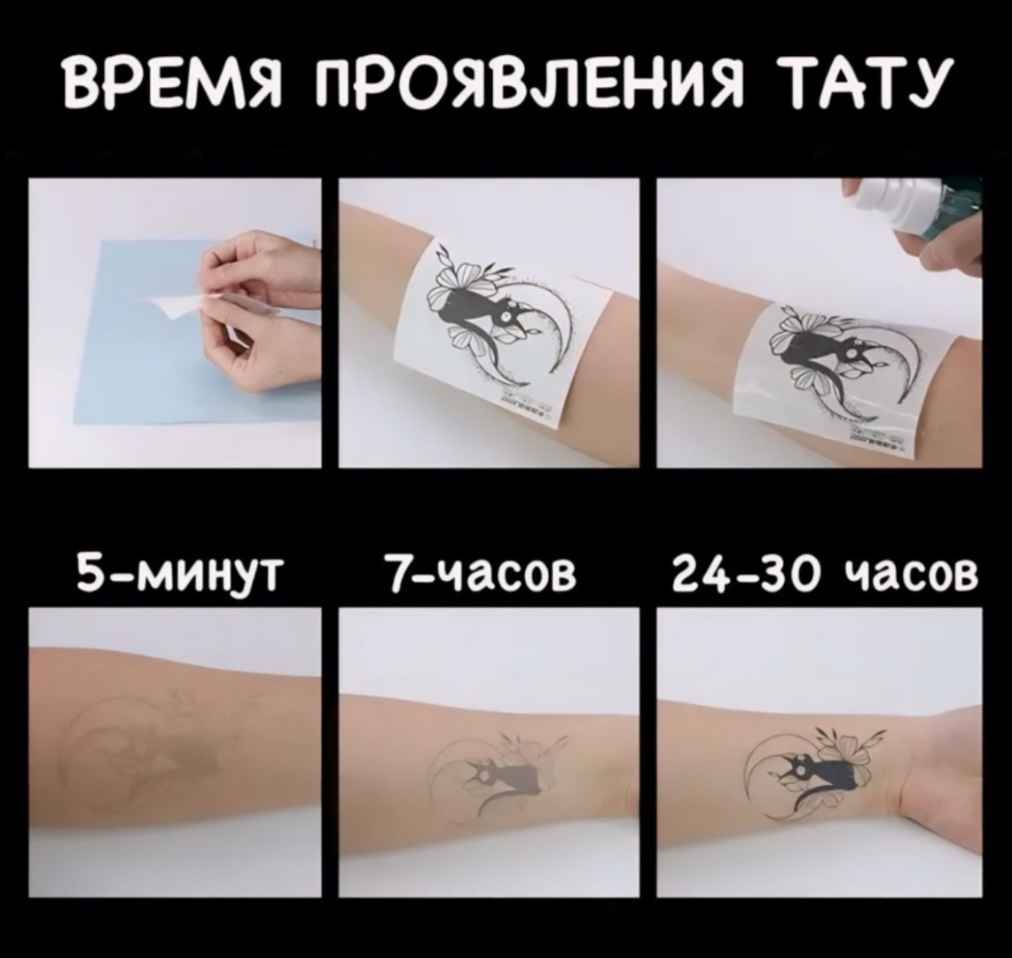 Бабочка - Beast original
