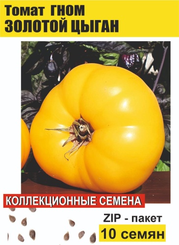 Коллекционные семена томат ГНОМ Золотой цыган, 10 семян