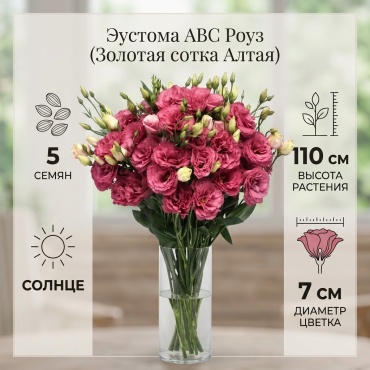 Золотая сотка Алтая эустома Эустома АВС Роуз
