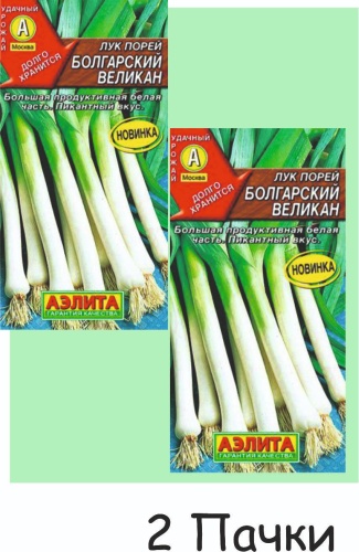 Аэлита лук Болгарский великан порей