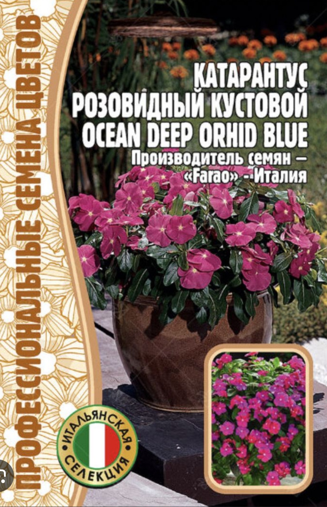 Григорьев катарантус Deep Orhid