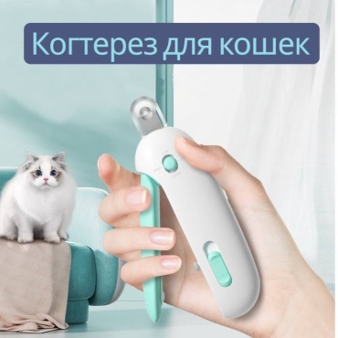 Когтерез, вид животного: кошки
