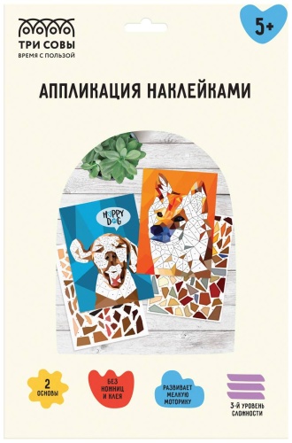 ТРИ СОВЫ АПн_64299