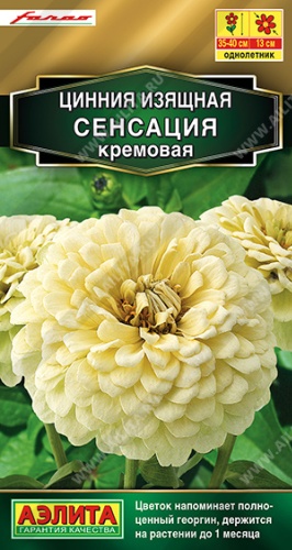 Аэлита цинния сенсация