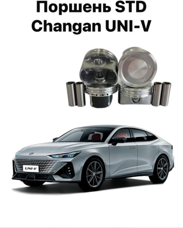 Changli поршень D1004020BA