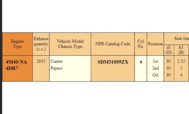 NPR кольца поршневые SDM31095ZX