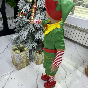 Костюм Гномик  синий, зеленый