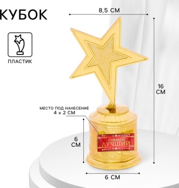 Кубок Звезда «Самый лучший»