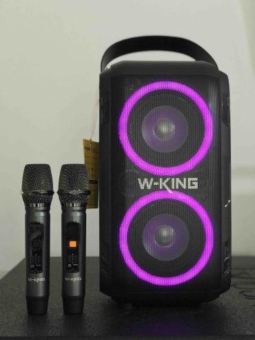Портативная колонка W-King T9ll черный