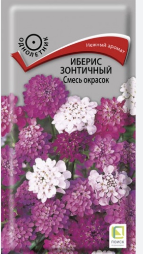 Поиск иберис Зонтичный смесь окрасок