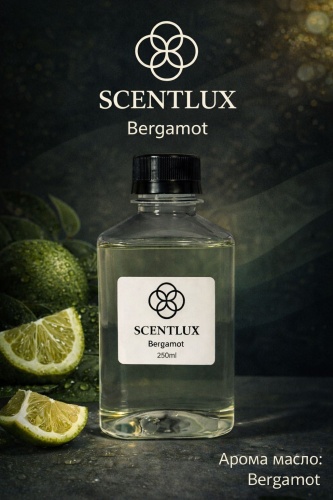 Аромамасло для арома-аппарата Scentlux Standard collection 250