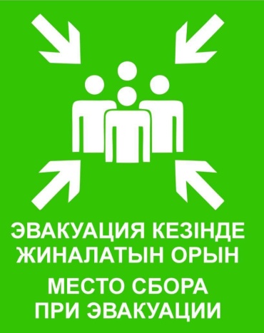 Табличка Место сбора при эвакуации 30x21 см 30x21 см